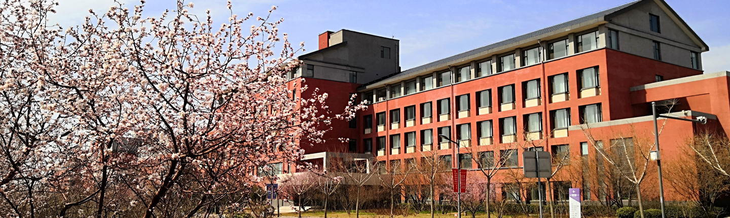 关于中心门户网站域名更换公告