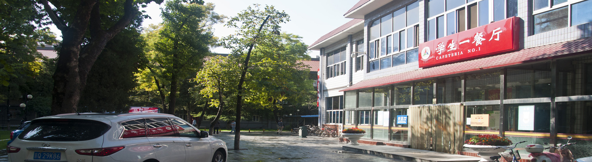 关于中心门户网站域名更换公告